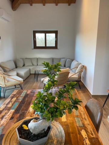 Agriturismo Terre Di Nelio Vignanello Bagian luar foto